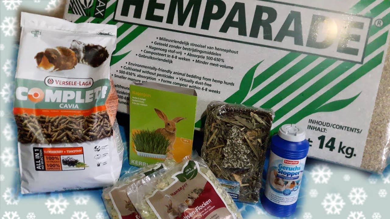 Video ACQUISTI Zooplus PORCELLINI D'INDIA