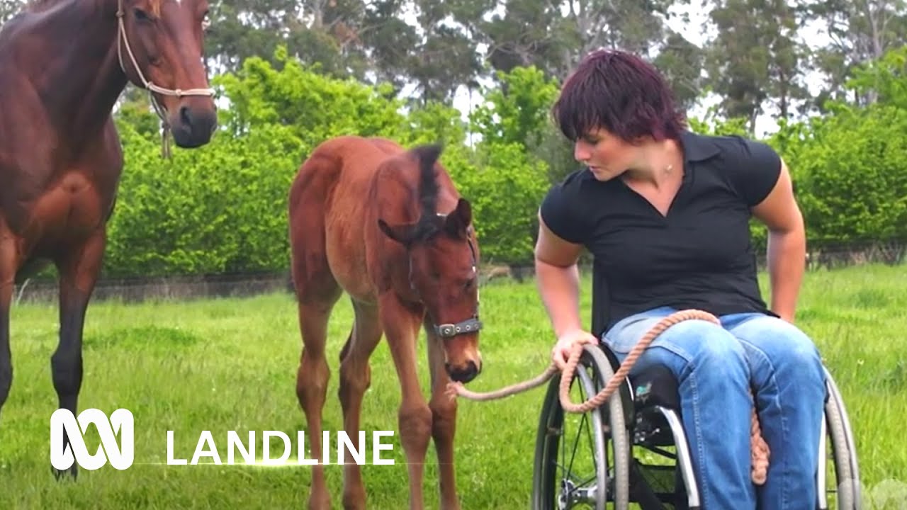 Farmer adapts to life with disability, runs miniature goats and cattle in Tasmania 🐐🐮| ABC Australia