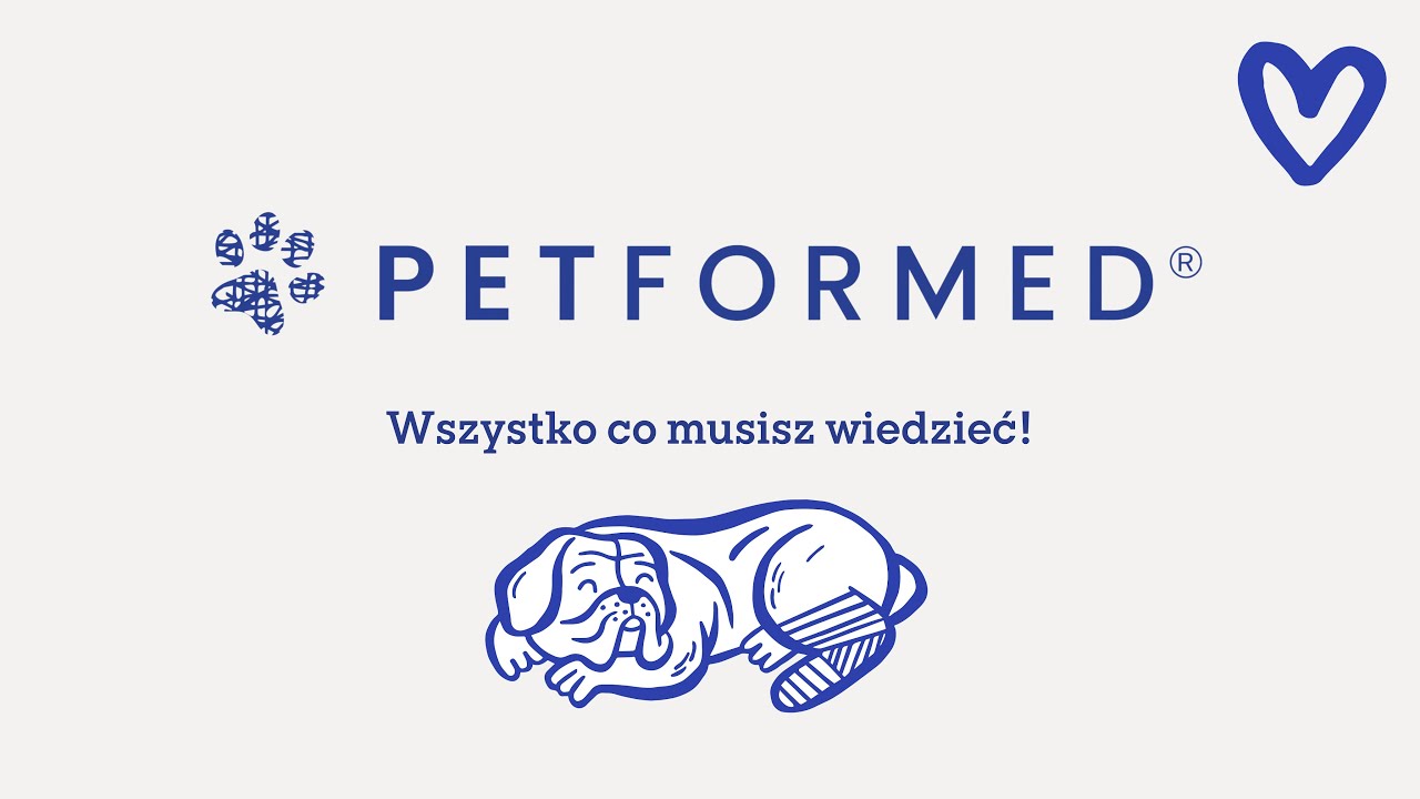 Szukasz legowiska dla psa? Musisz to zobaczyć!