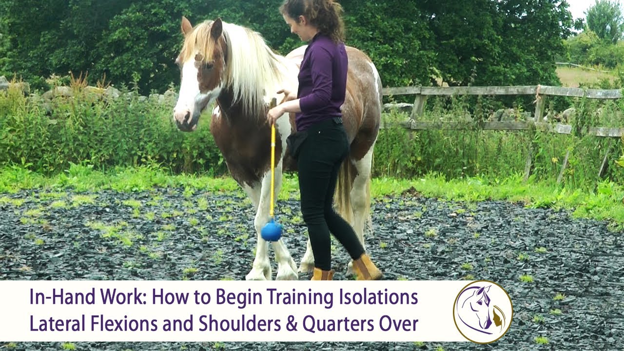 Groundwork P2: Lateral Flexions and Shoulders & Quarters Over