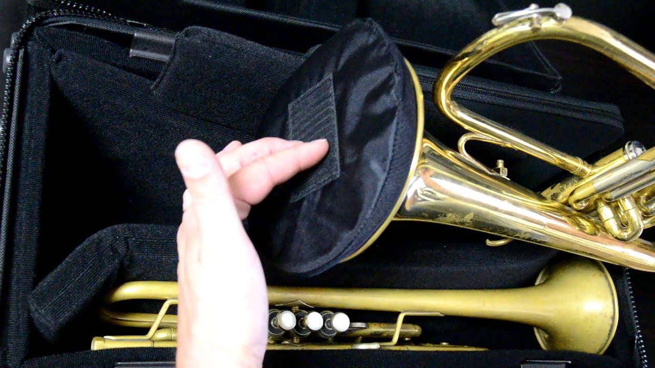 Torpedo Bag: Coyote SNARL--For Trumpet, ANY Flugelhorn, and Computer or Pic.