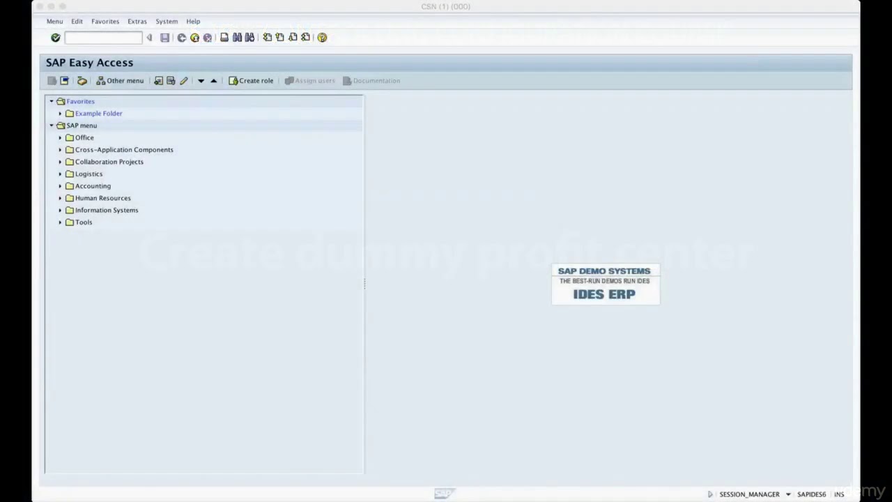 Create Dummy Profit Center