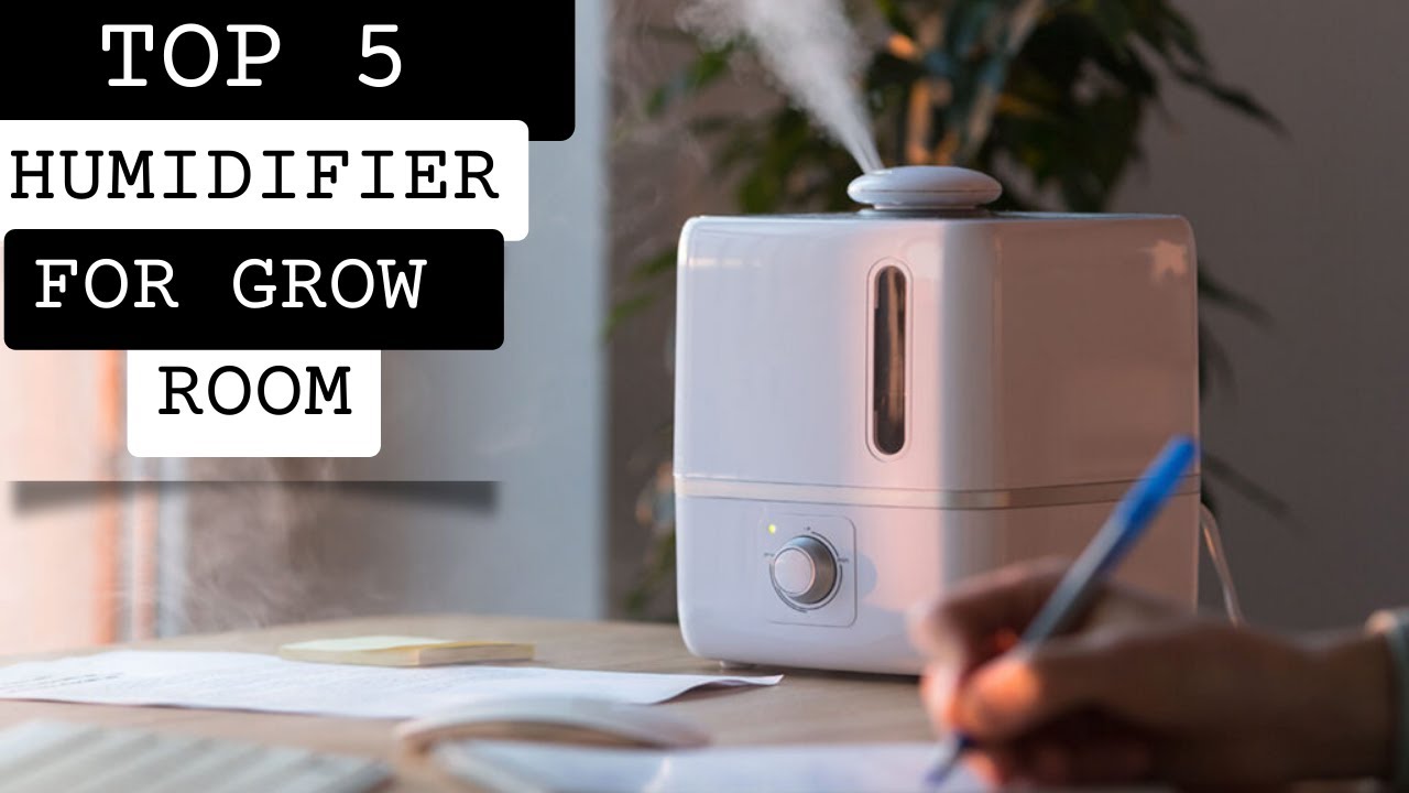 TOP 5; Best Humidifier for Grow Room 2023