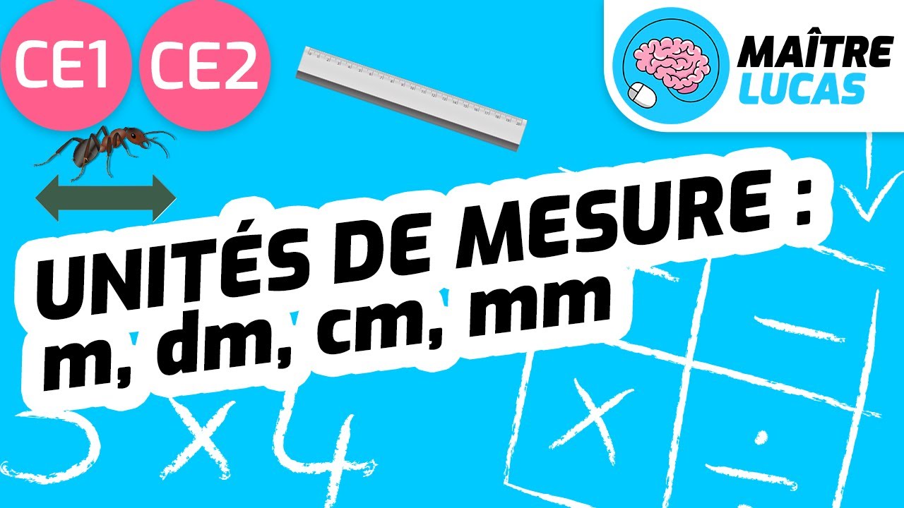 Unités de mesure : m, dm, cm, mm, CE1 - CE2 - Cycle 2 - Mathématiques - Grandeurs et mesures