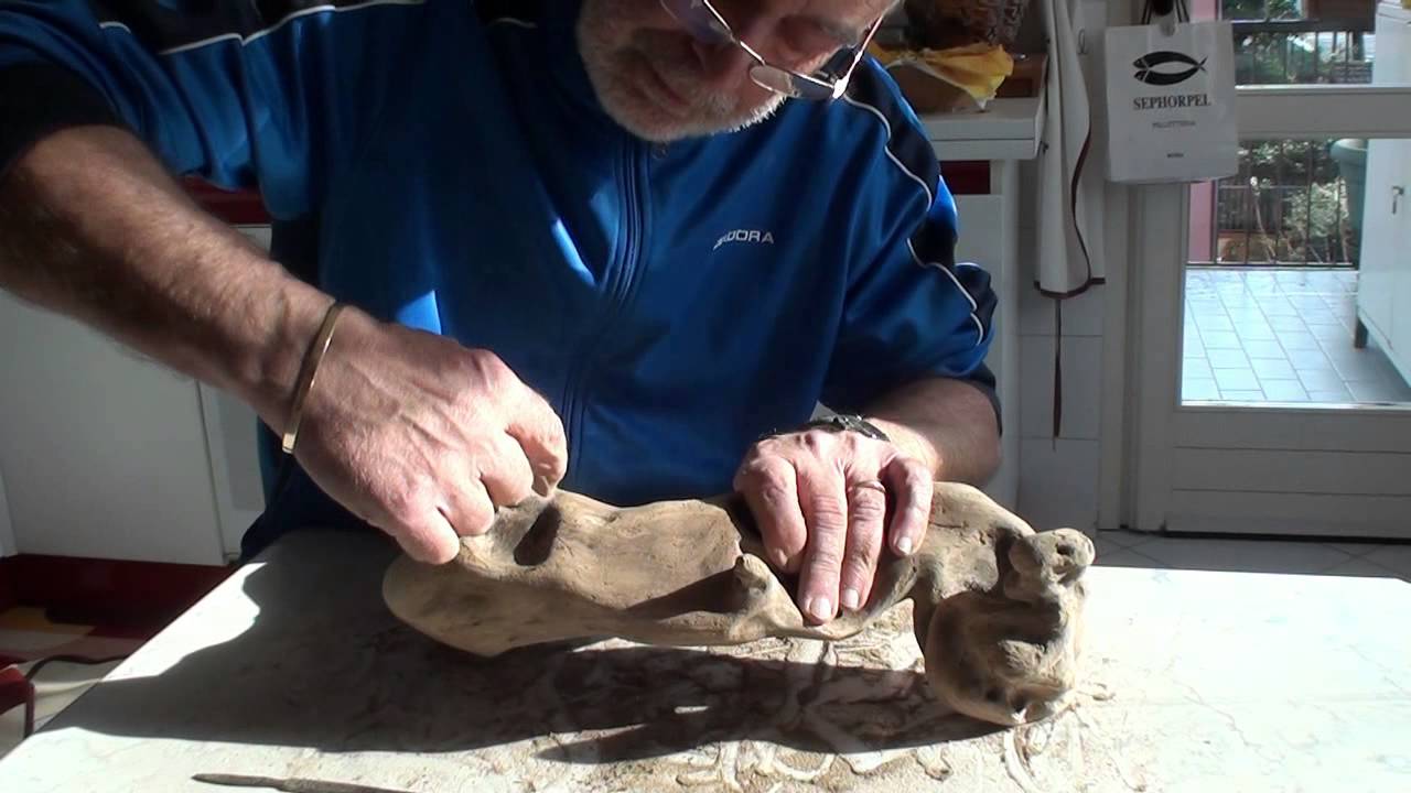 Le radici trovate sulle rive del Po