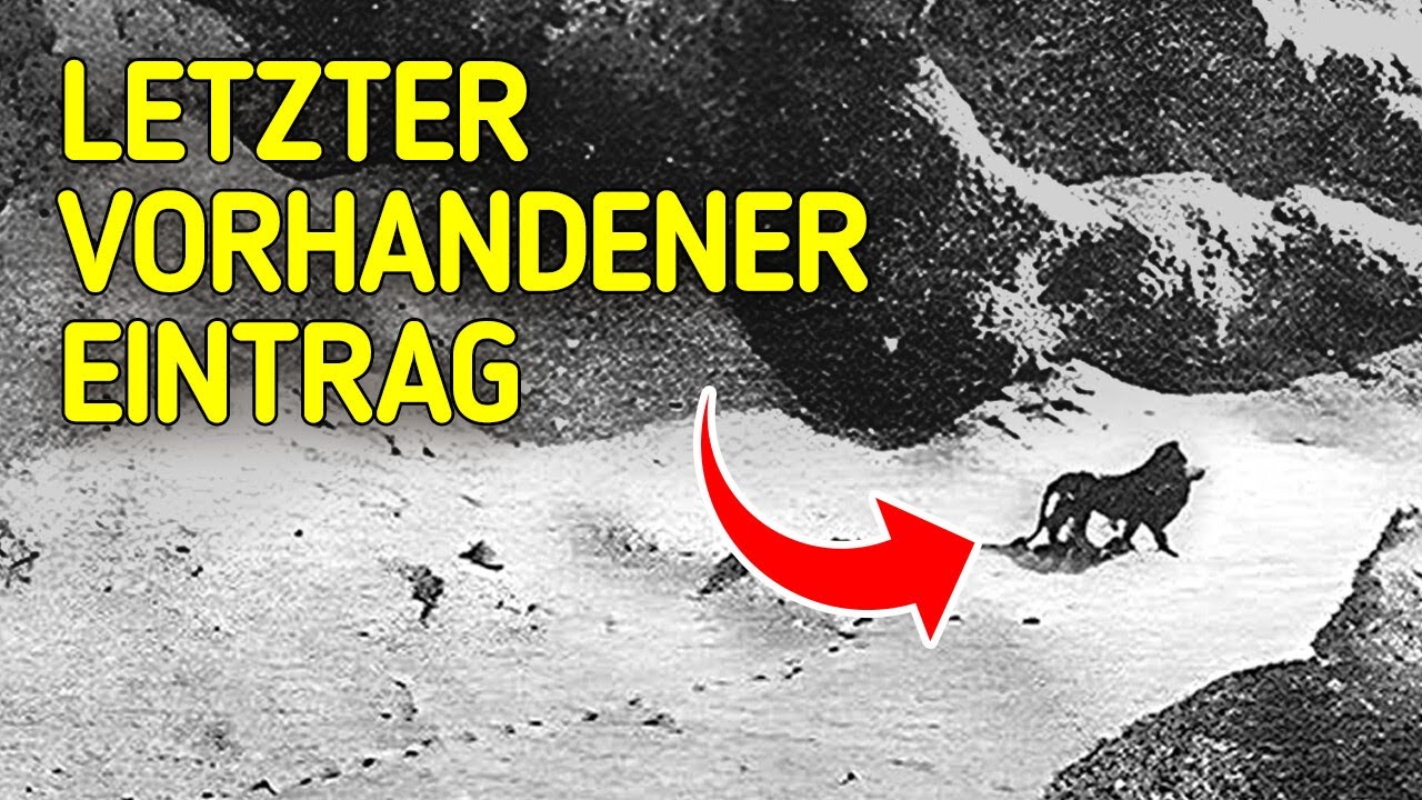 Ausgestorbene Arten und weitere erstaunliche Tierfakten