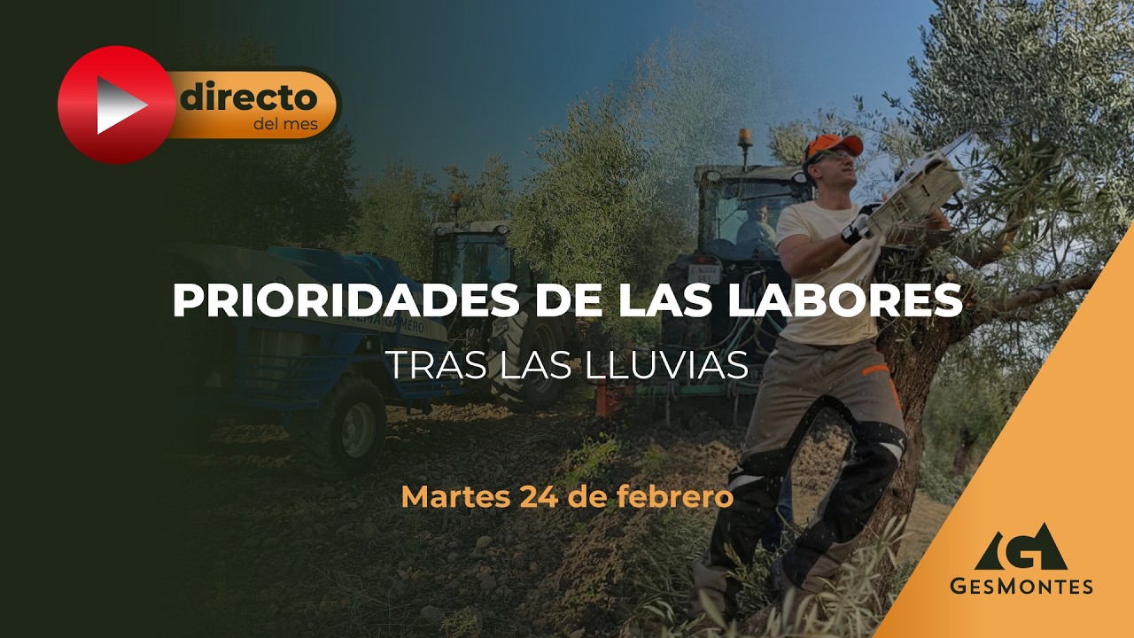 PRIORIDADES DE LAS LABORES TRAS LAS LLUVIAS