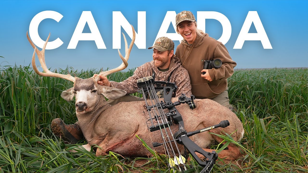 The Land of the Giant Mule Deer!