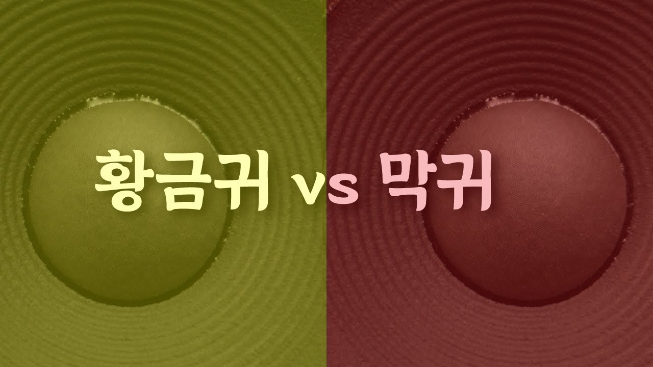 음악을 듣는 방식 - 당신의 귀는 어떤 타입? | 화면 깜빡임 주의ㅣ Golden Ears Test