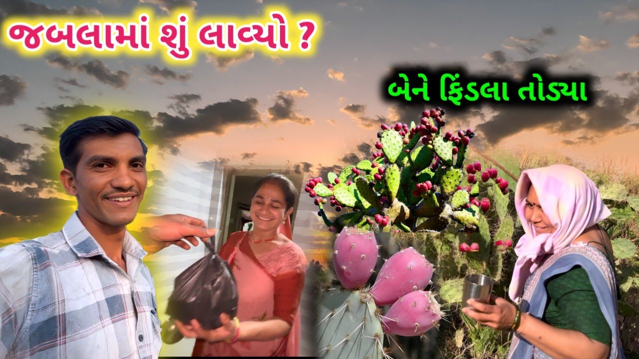 આજે કઈ બાજુ 🤔 || બેને ફિંડલા વીણ્યા || Life at Botad Village Vlogs 