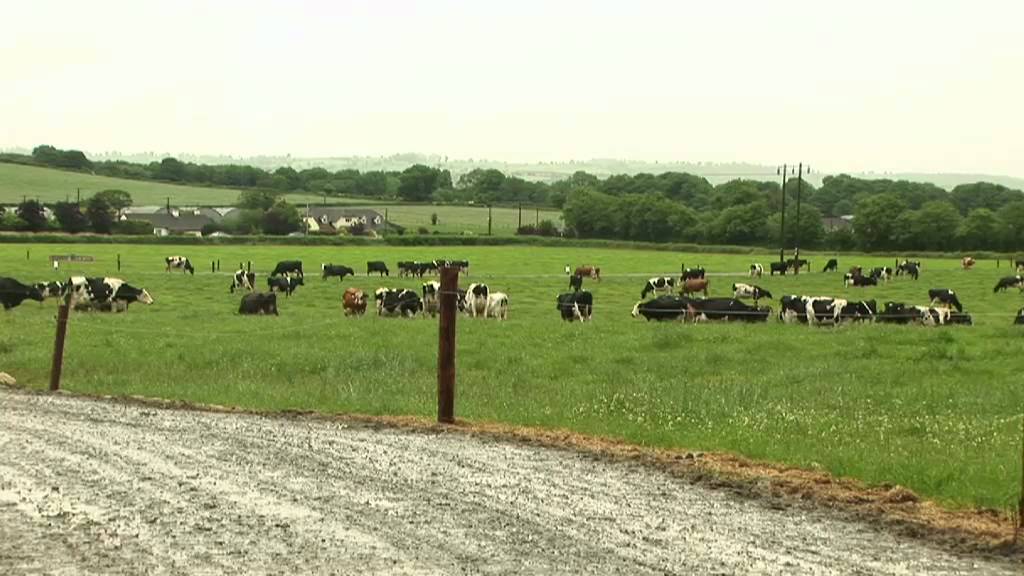 Teagasc Greenfield Dairy Programme: Greenfield Open Day 21 June 2012