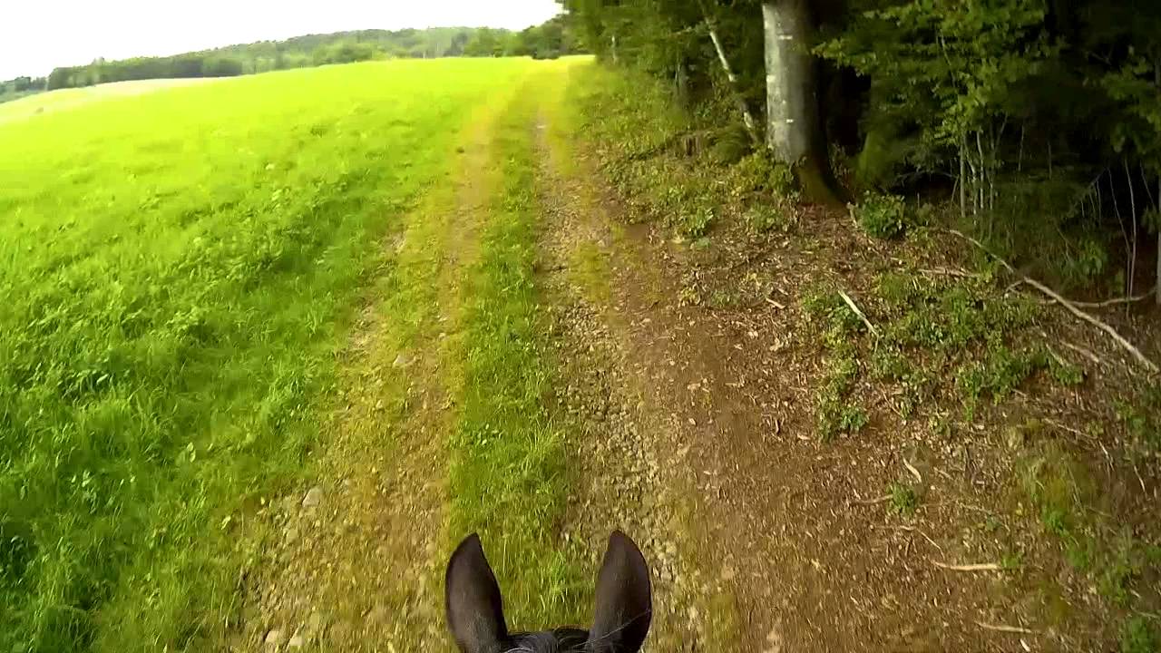 Fin de balade &agrave; cheval avec Chlo&eacute;