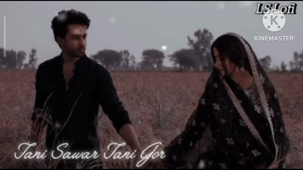 Tani sawar tani gor #slowedandreverbed 