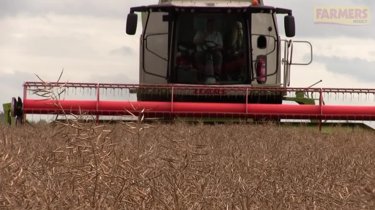 Harvest 2017: World record oilseed rape yield attempt in Lincolnshire