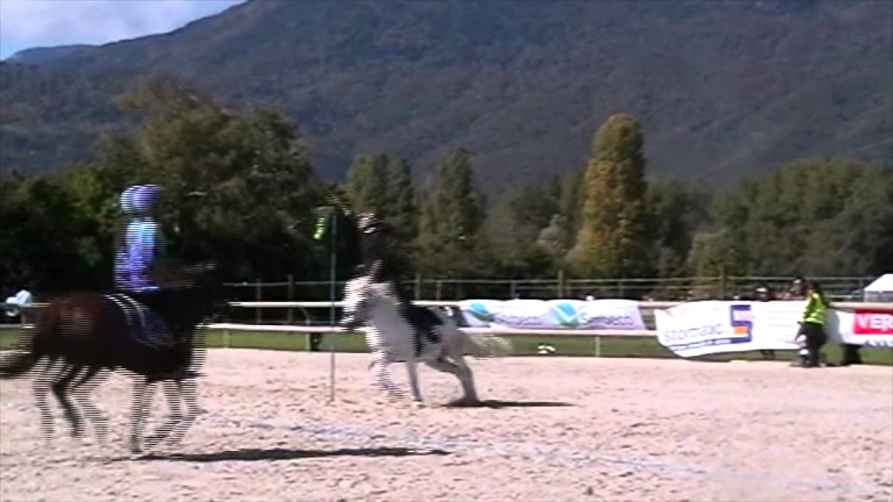 Mounted games - finale challenge peter dale 2015 dell'alba u14