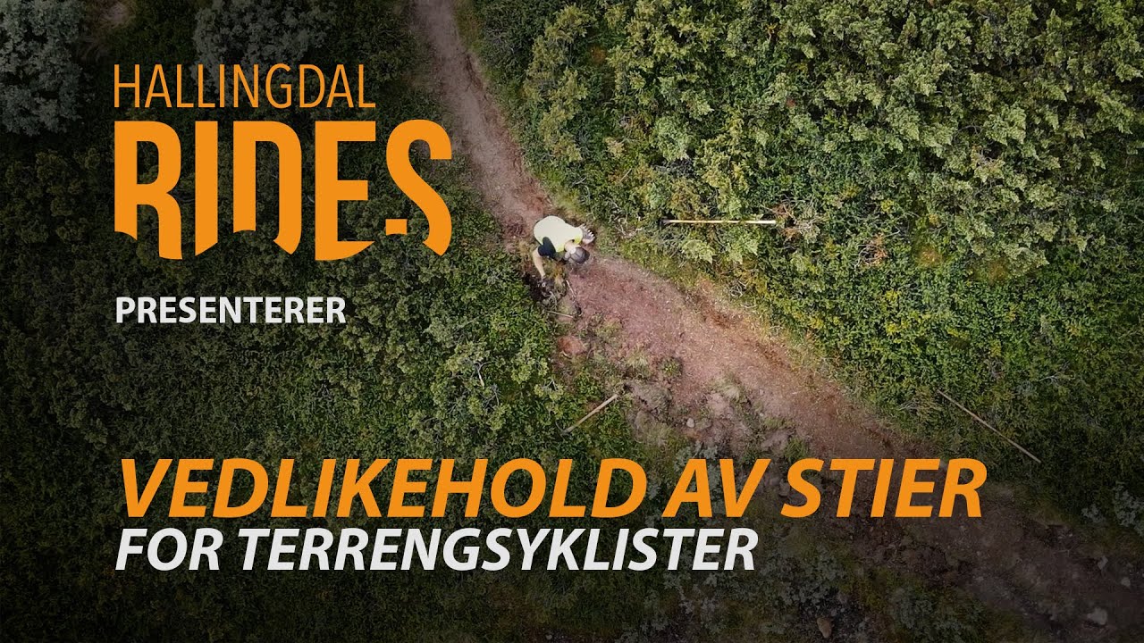 Tips til vedlikehold av stier for terrengsyklister - Hallingdal Rides