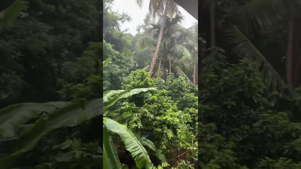 Kannur weather ❣️❣️❤️❤️ #keralagodsowncountry #kannur #automobile #rain #views