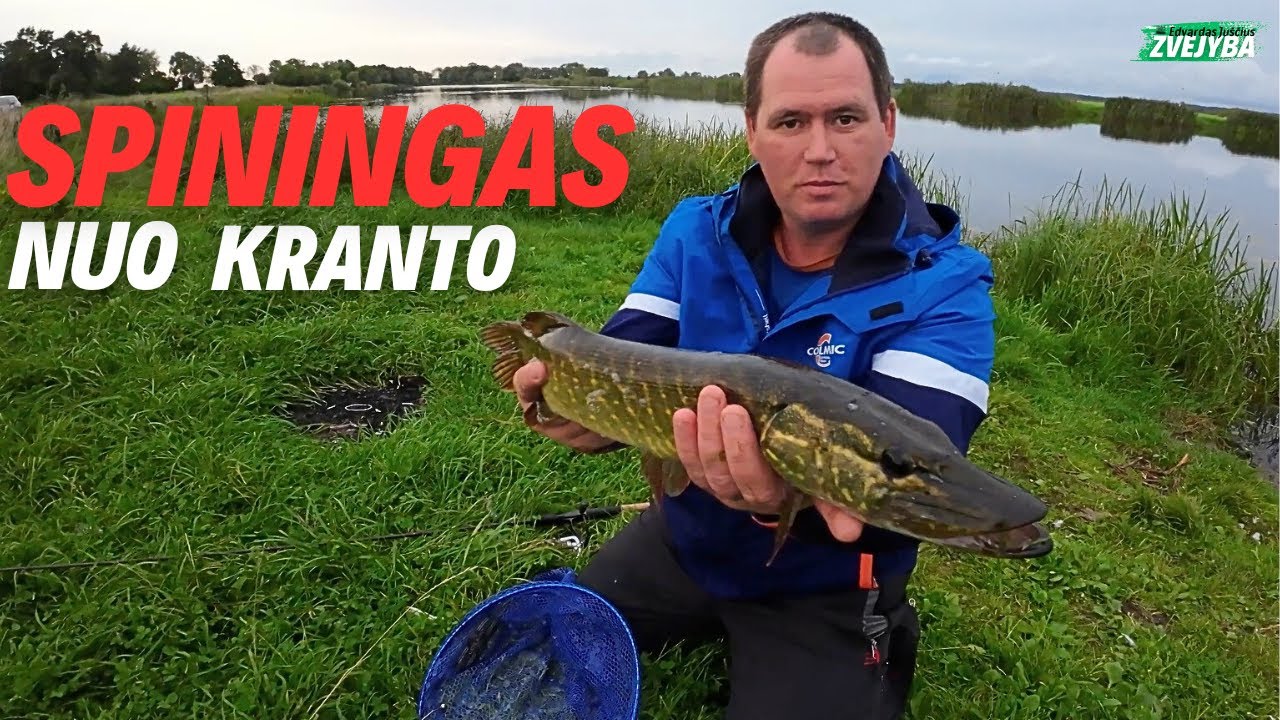 Žvejyba. Spiningas nuo kranto Nemuno senvagėje
