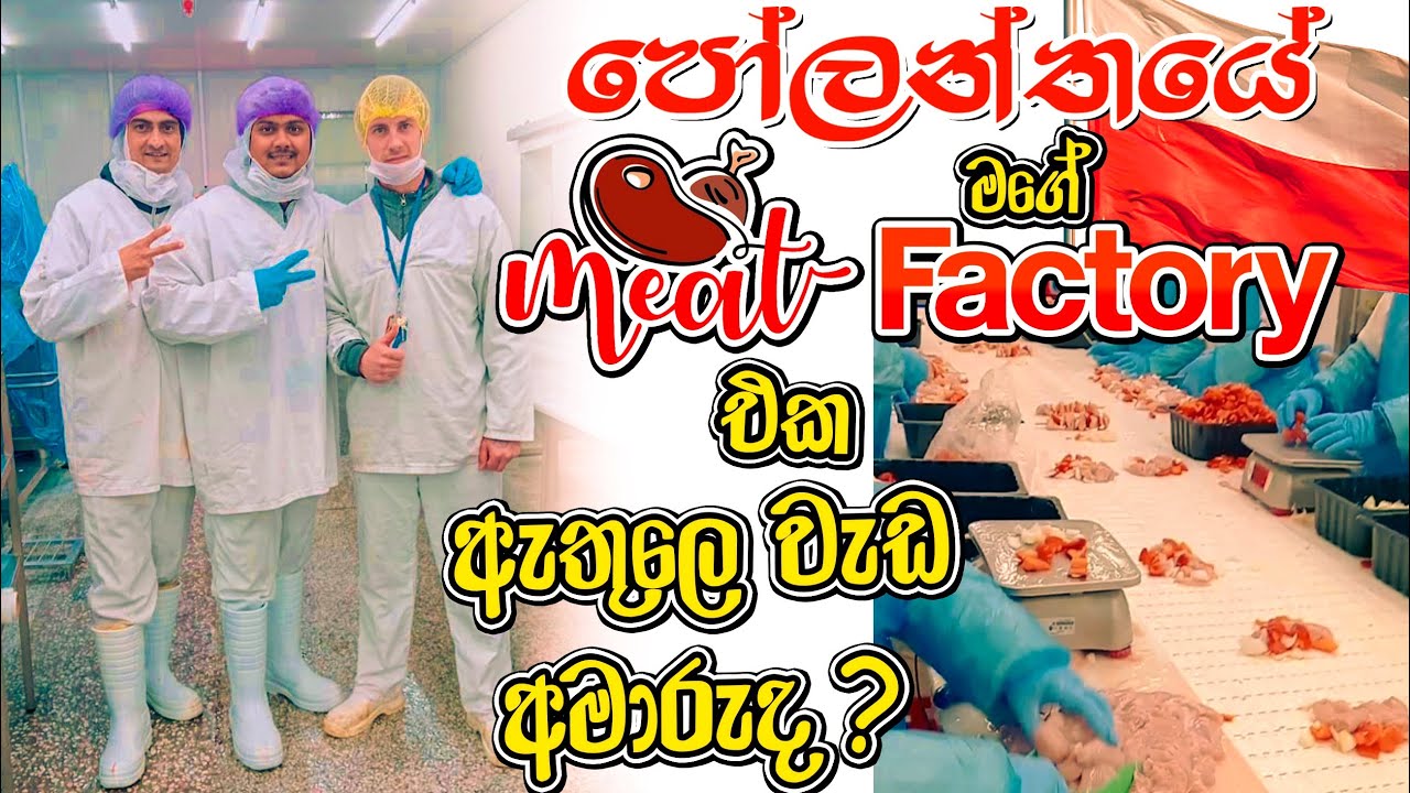 පෝලන්තයේ Meat factory වල වැඩ අමාරුද?සිතලේ වැඩ කරන්න පුලුව්න්ද? #poland #romania #vlog