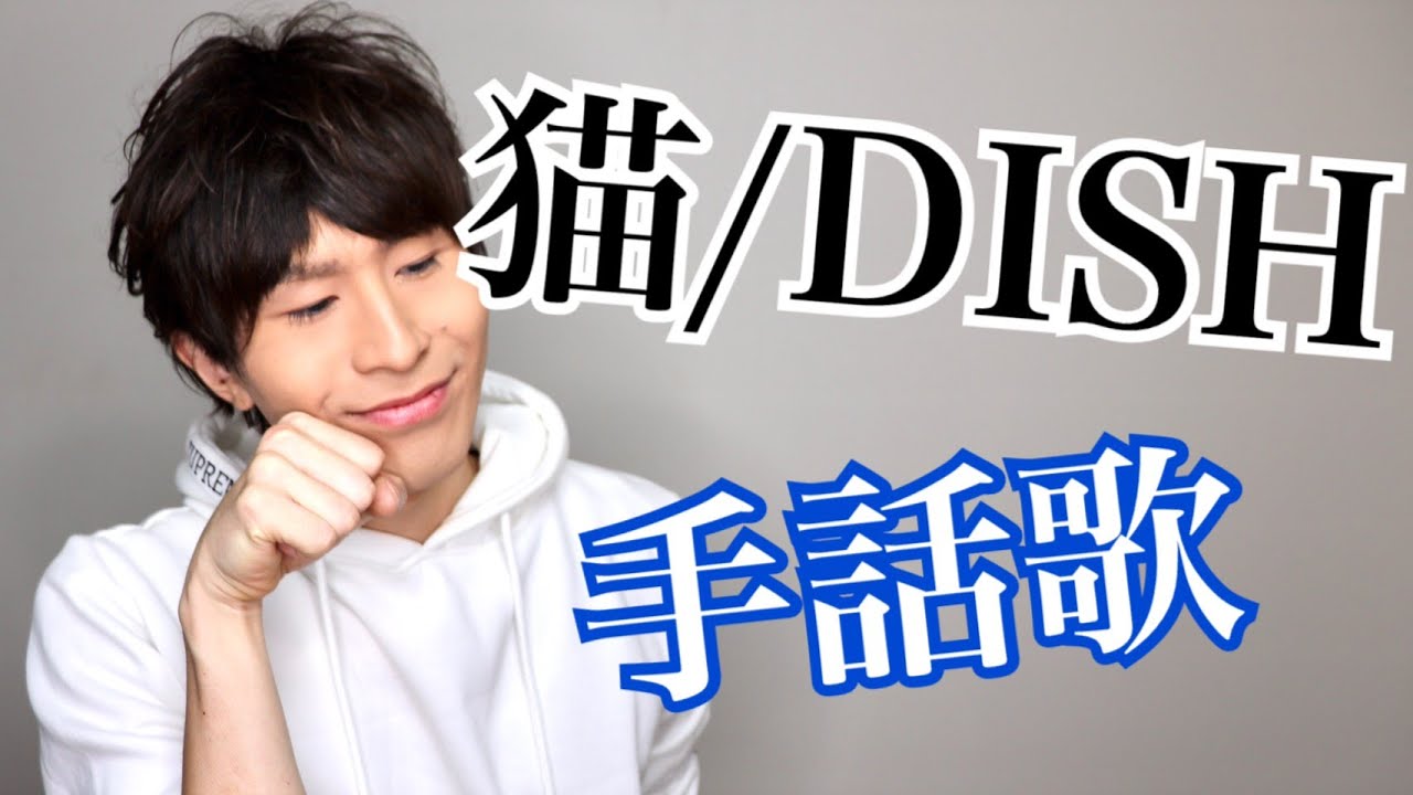 猫/DISH covered by 強力翔（手話歌ってみた）