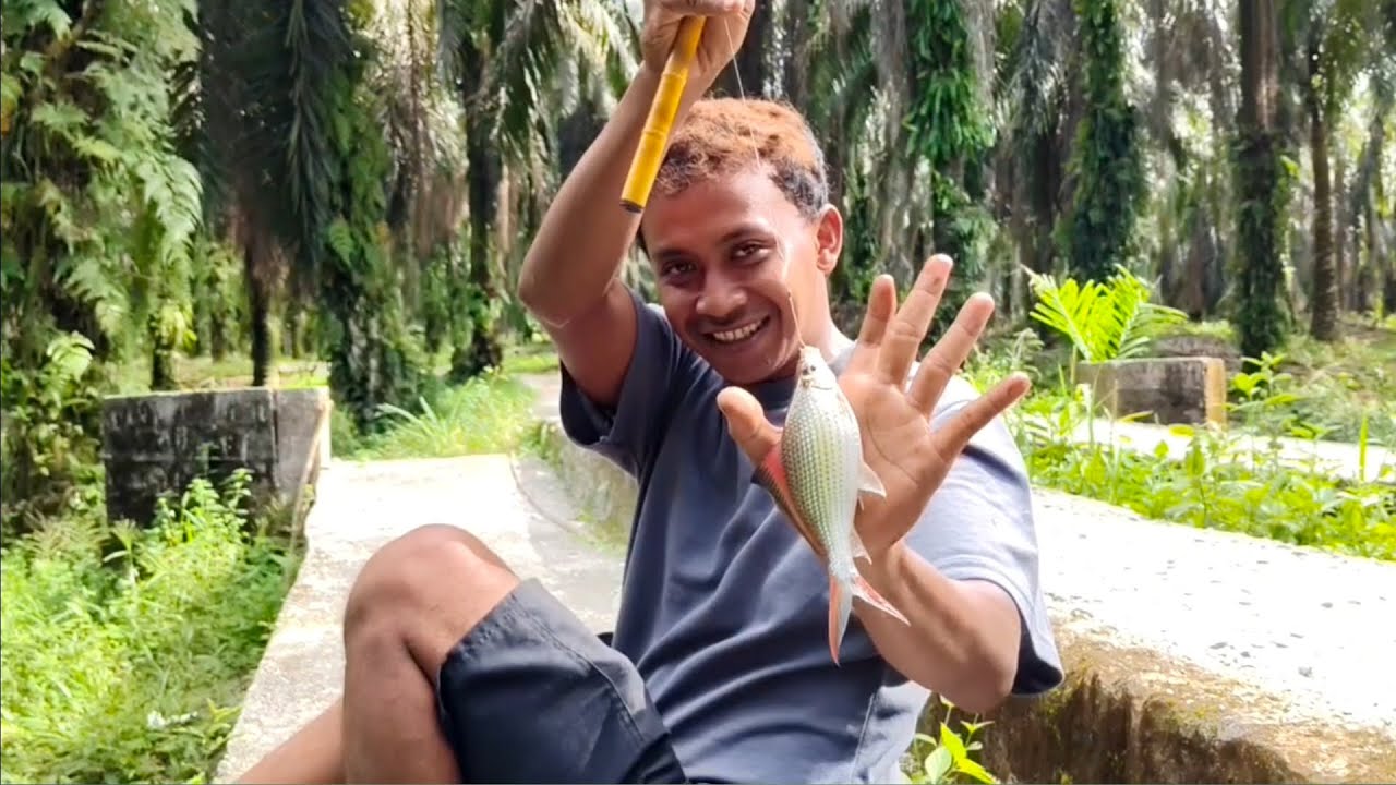 Pemancing wader paling beruntung , nemu spot ikannya besar-besar