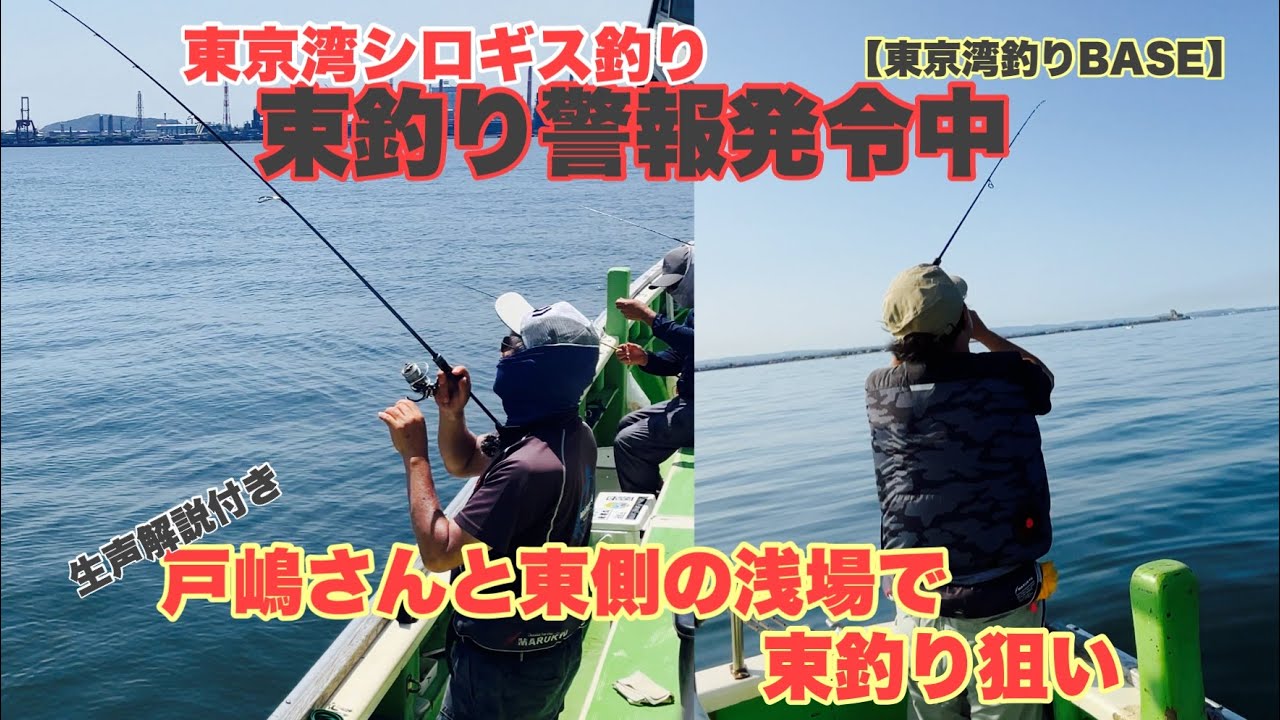束釣り警報発令中　戸嶋さんと浅場のシロギス釣り