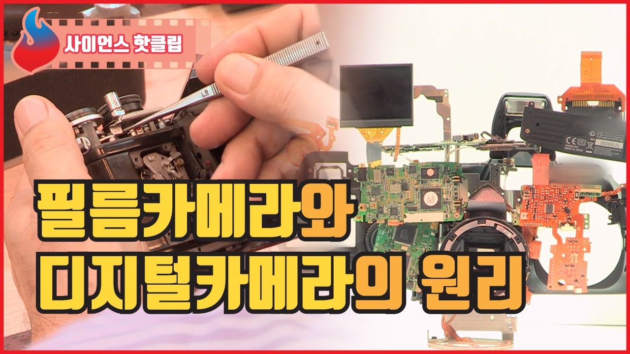 필름카메라와 디지털카메라의 원리  / YTN 사이언스