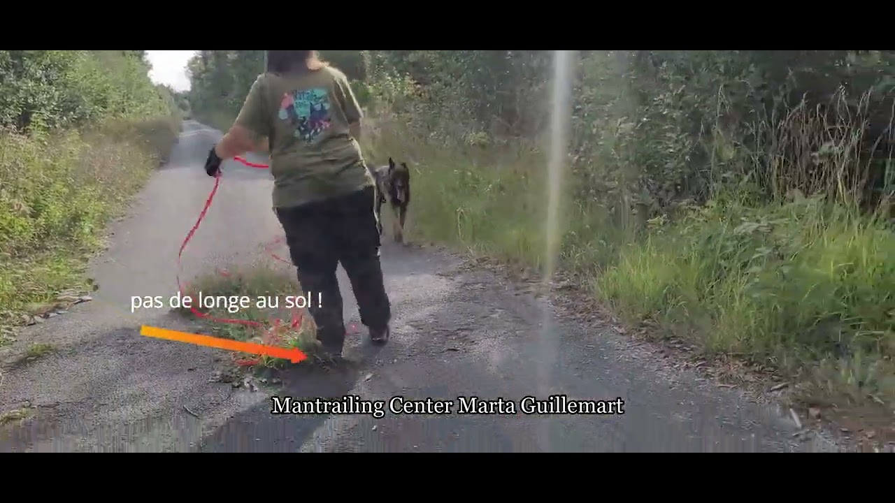 Mantrailing center lecture chien