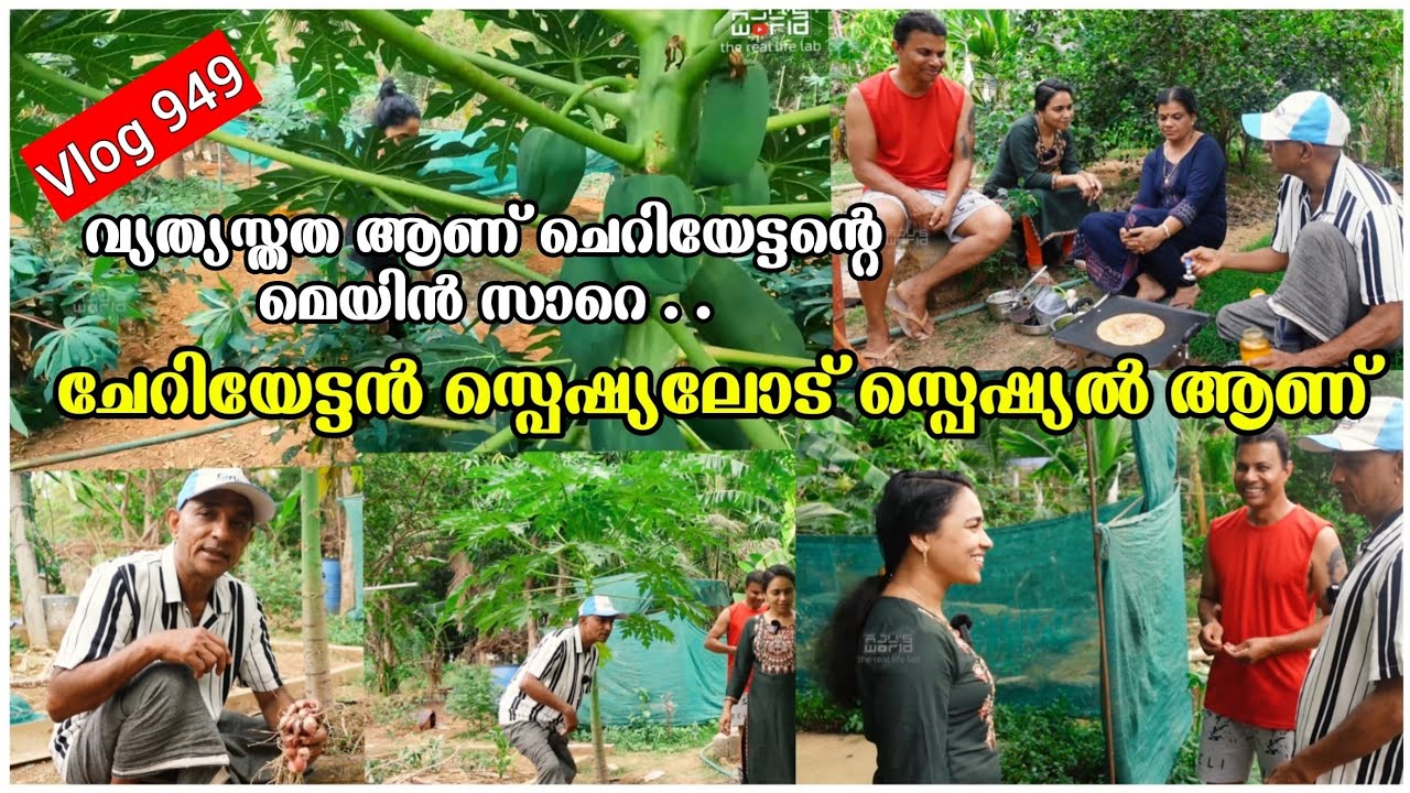 ഇത് ചെറിയേട്ടന്റെ ചെറിയ വലിയ ലോകം /Cheriyettan's Special Organic Omelette Roll/AJU'S WORLD