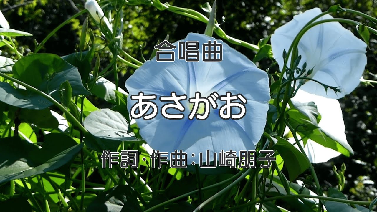 あさがお【合唱】 / 歌詞付き / 歌唱練習 / 卒業ソング 
