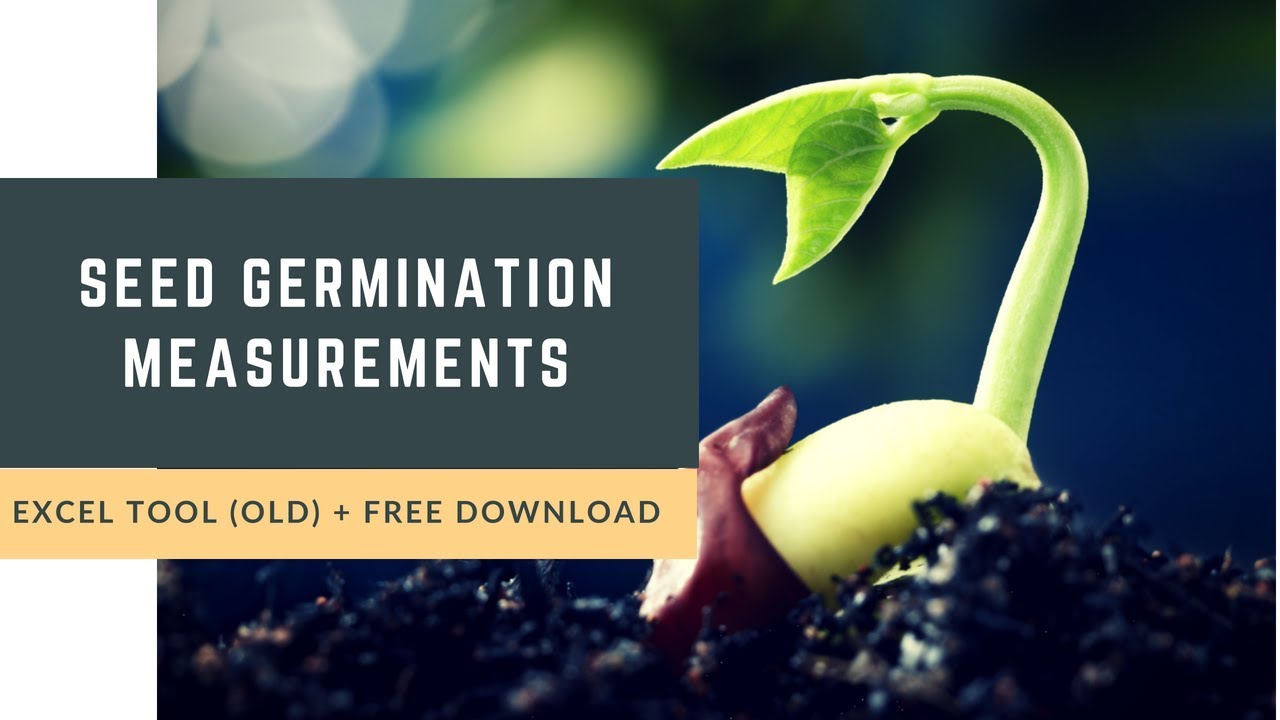 Simple and Powerful Excel Tool for Seed Germination Measurements