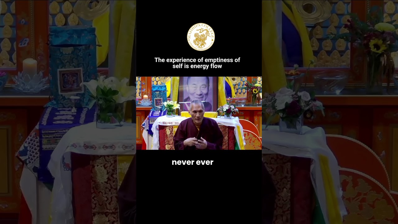 Experience of emptiness of self is energy flow #selftransformation #tibetanbuddhism #meditation