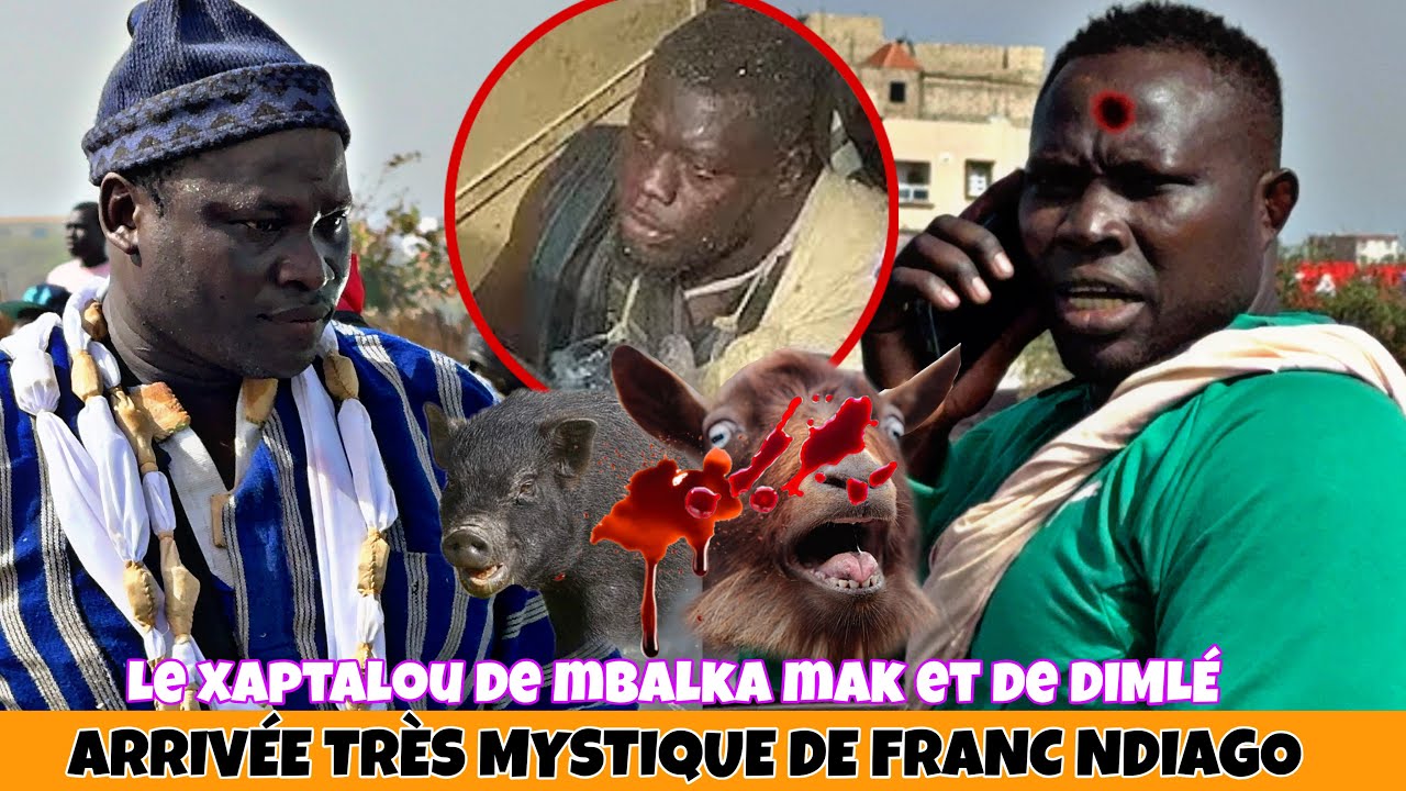 ‼️Hé Franc Ay Djiné la indi Si Lamb Dji ALAKHOU Akbar Xolal Mbalka mak ak Dimlé louñiou soti Siporte