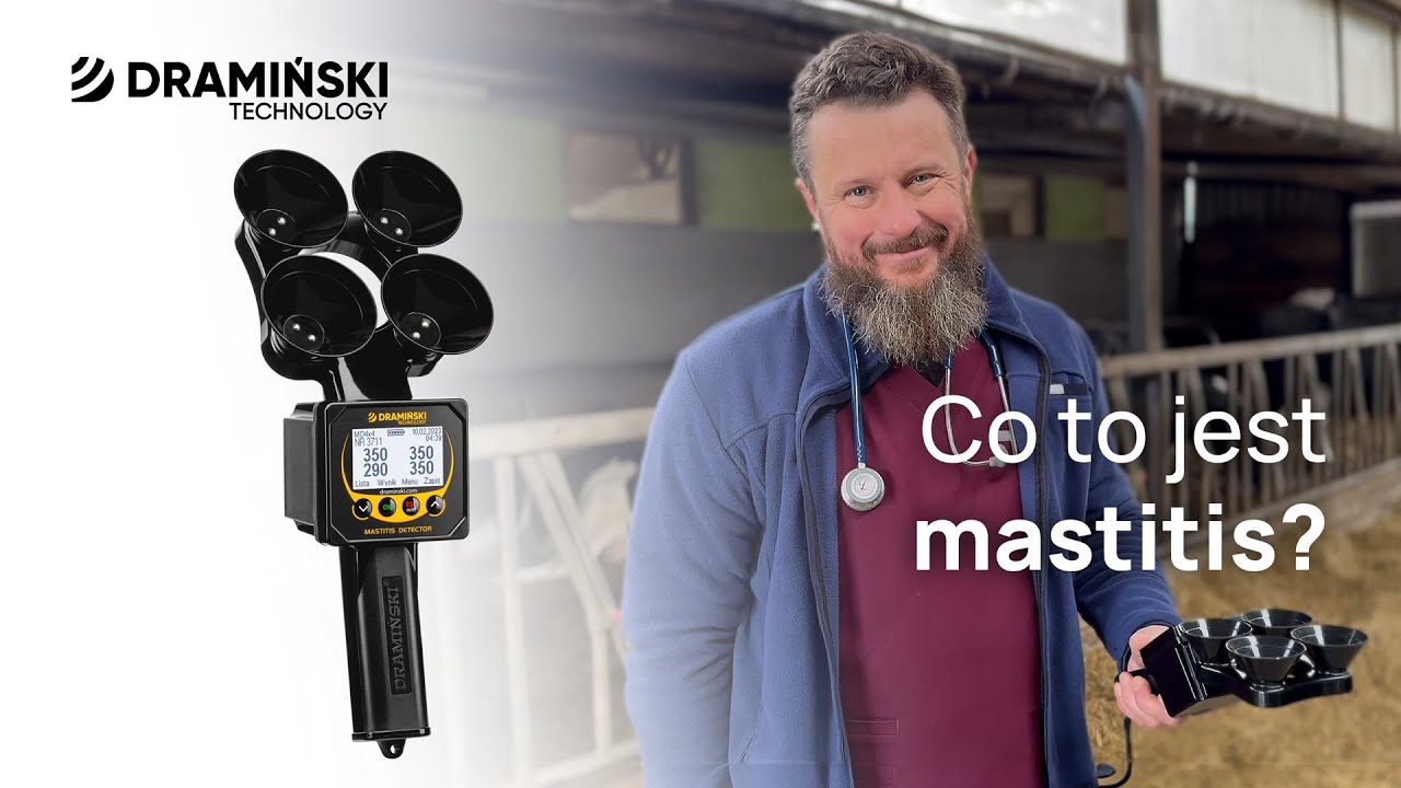 Co to jest Mastitis? Tłumaczy @cowdoctor.pl Michał Barczykowski