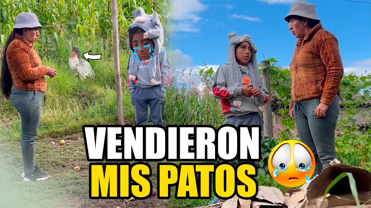 Uvitas fue a visitar a doña Rosita y nunca se imagino pasaría esto