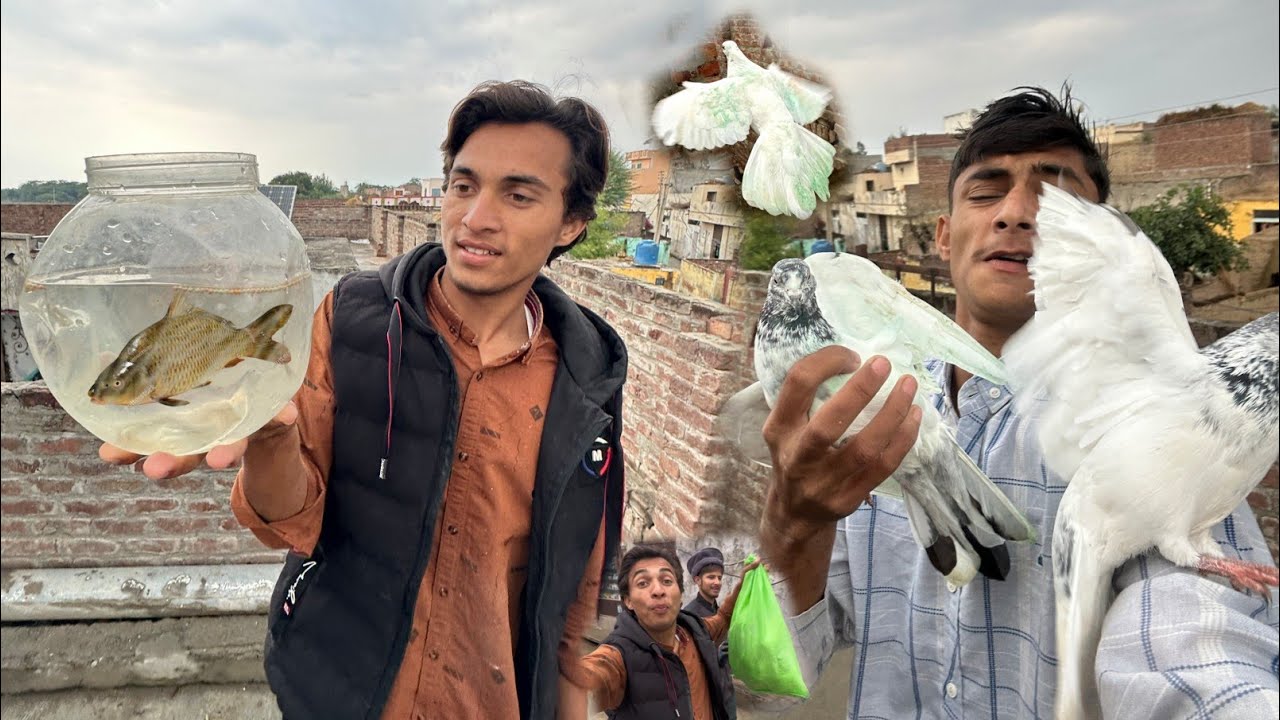 Fish 🐟 Mar Gai Bahut Dukh hua