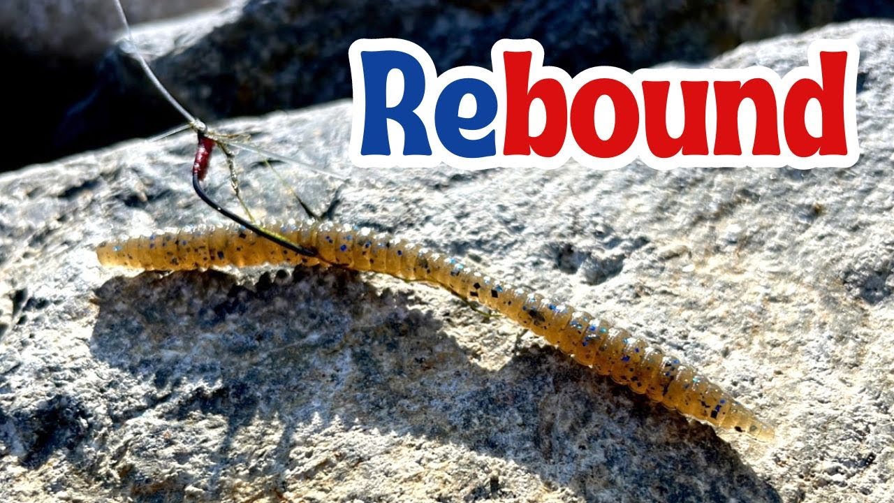 Deps Rebound Stick: Finesse Bass Fishing Magic with a Wacky Rig!