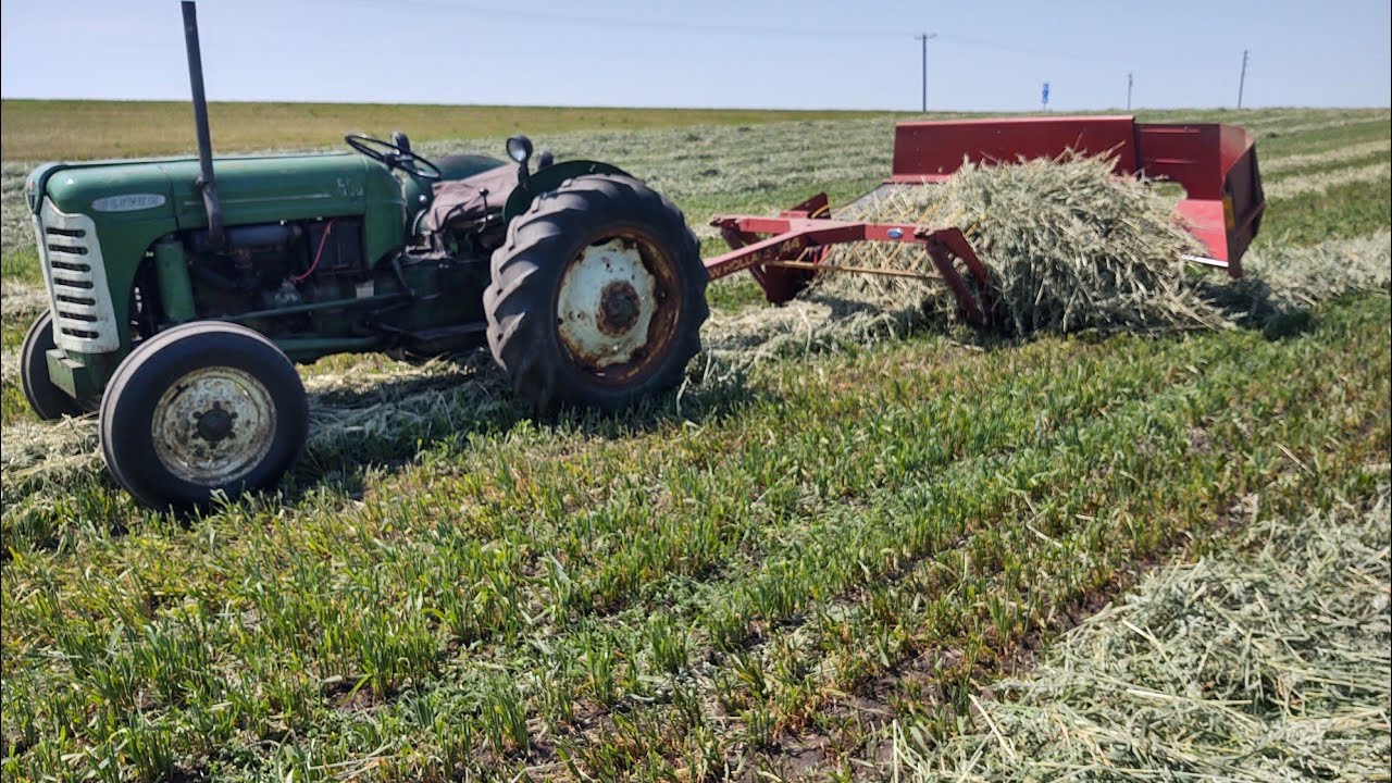 Making oat hay