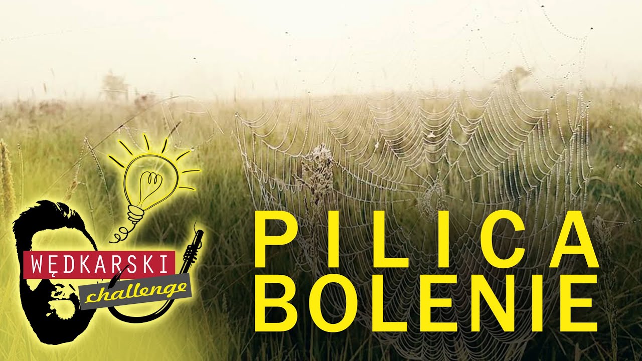 Pilica, królowa urokliwości - Spinning, Bolenie