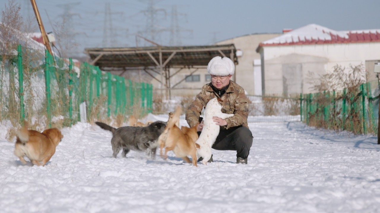 A Day With an Animal Caretaker