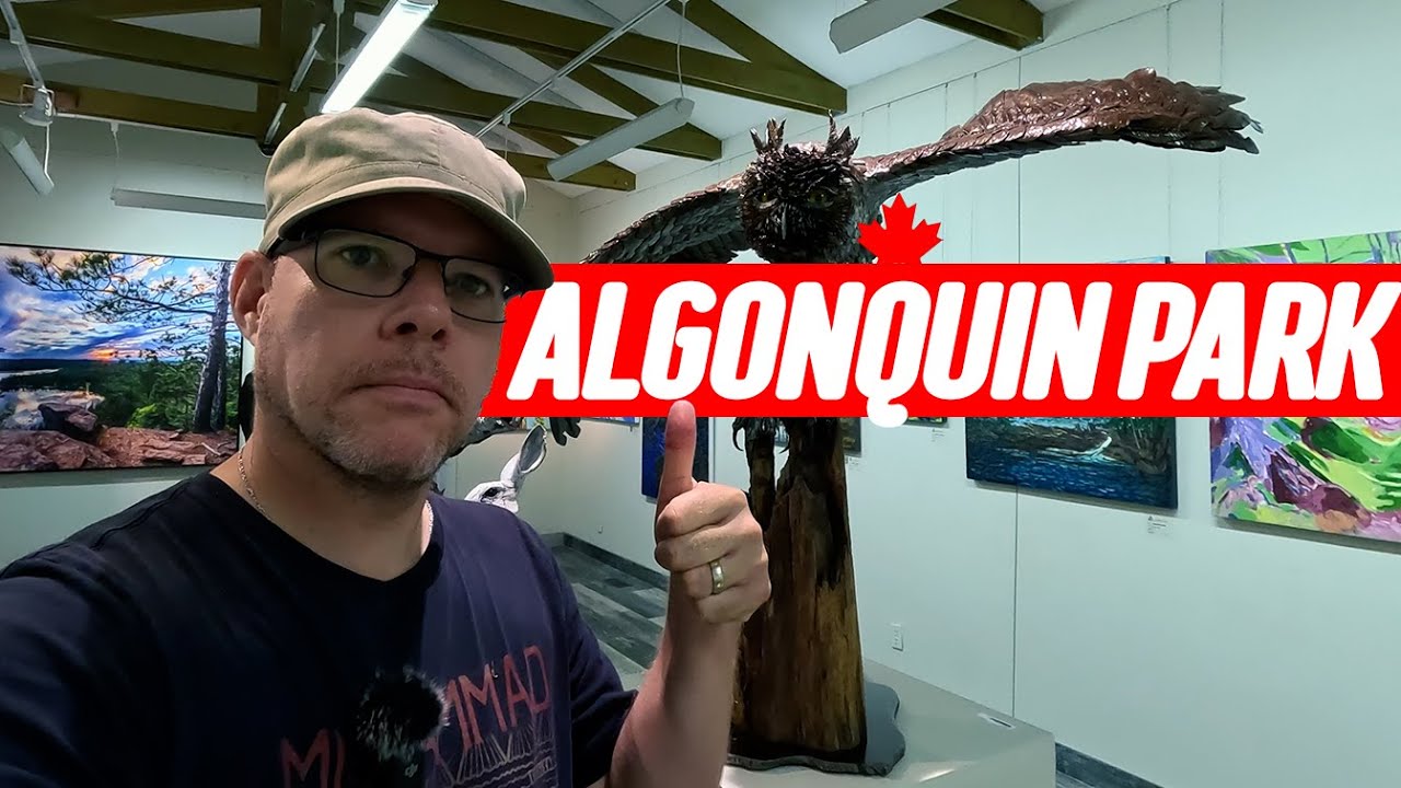 I Drove Highway 60 in Algonquin Park and Found Hidden Gems! 🇨🇦