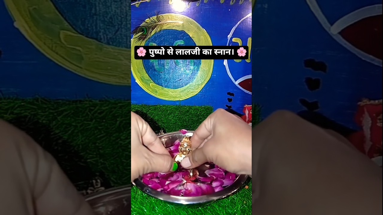 🌻 पुष्पों से सजा स्नान पर्व &ndash; लड्डू गोपाल के दिव्य दर्शन 💞 #radheradhe #laddugopal #shortvideo #yt