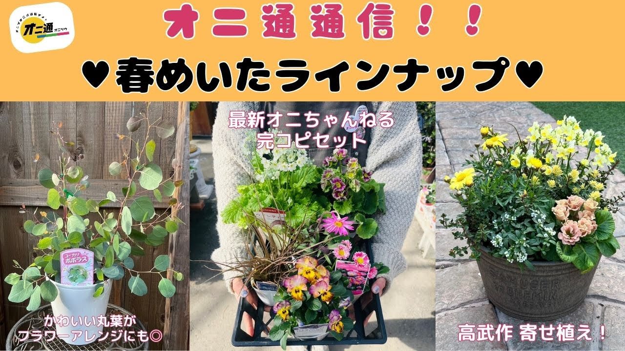 【オニ通通信】春めいたラインナップ！