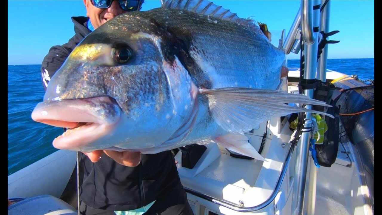 🟠Grandes peces a jigging con JLC & ONNAUTIC