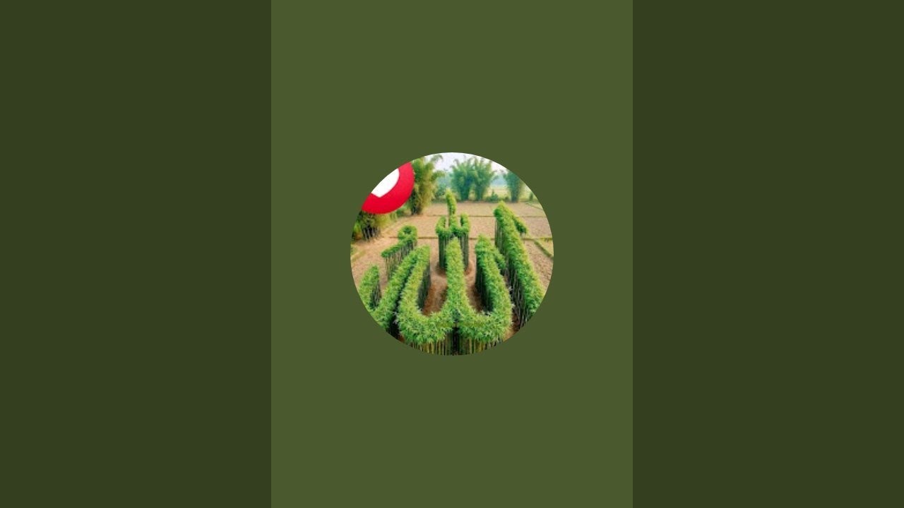 ራህማ ኢትዮ is live!