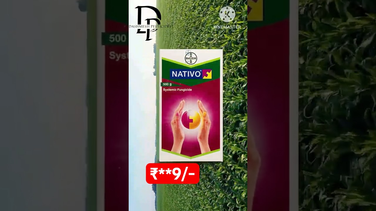 Bayer nativo best fungicide #nativobayer #bayerfungicide #bestfungicide #vegitablefarming