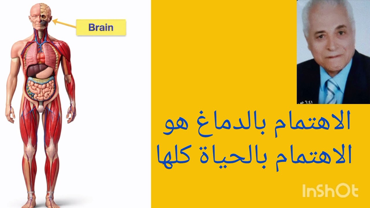 الدماغ والحواس وكيف نسمع ونفهم ونفكر ؟