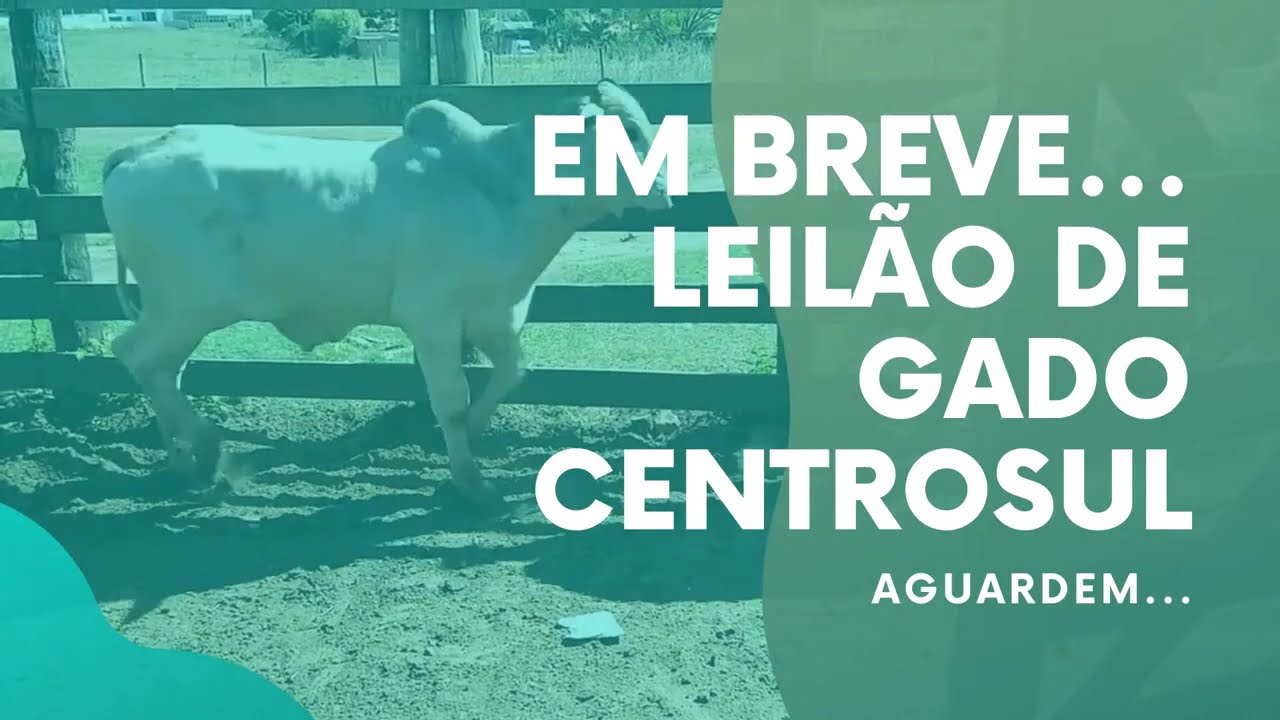 36&deg; Leil&atilde;o Centrosul de 2025  - Boa Esperan&ccedil;a do Sul/SP &ndash; 16/10/2025