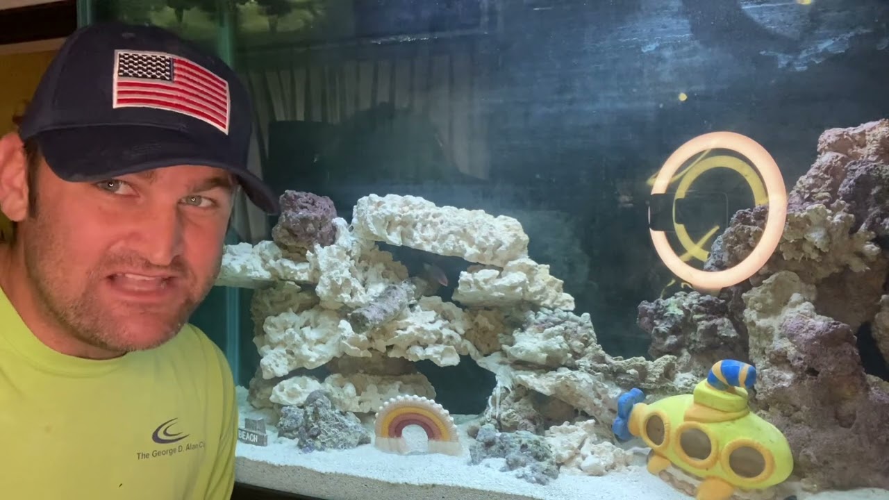 Saltwater tank cycle, dry rock to live rock