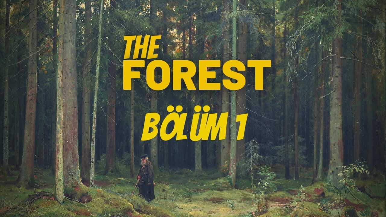 UÇAK KAZASI OLDU !! / HAYATTA KALMAYA ÇALIŞTIK / The Forest #1